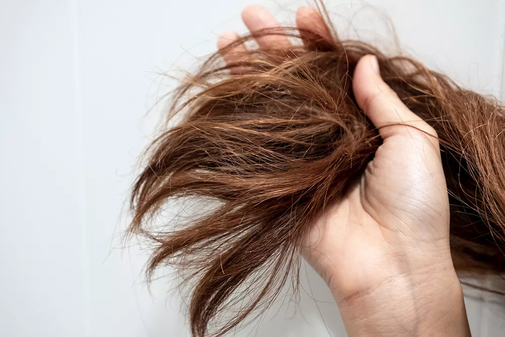 Dry hair: what can you do about it?